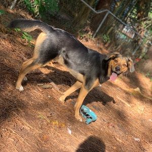 Meet your Posher, Marcus